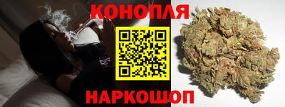 МДПВ Дубна