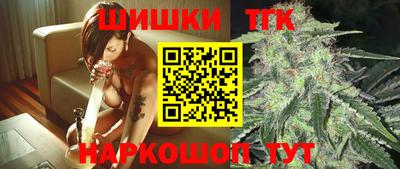МДПВ Дубна