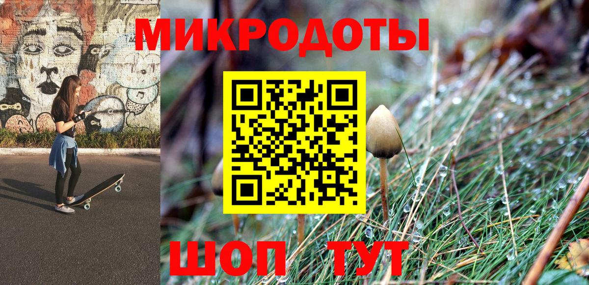 Оренбург  Галлюциногенные грибы Cubensis  Вход с VPN 