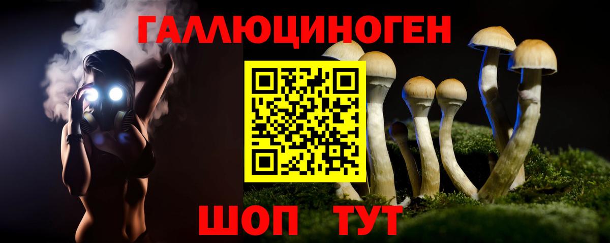 Псилоцибиновые грибы мицелий Оренбург